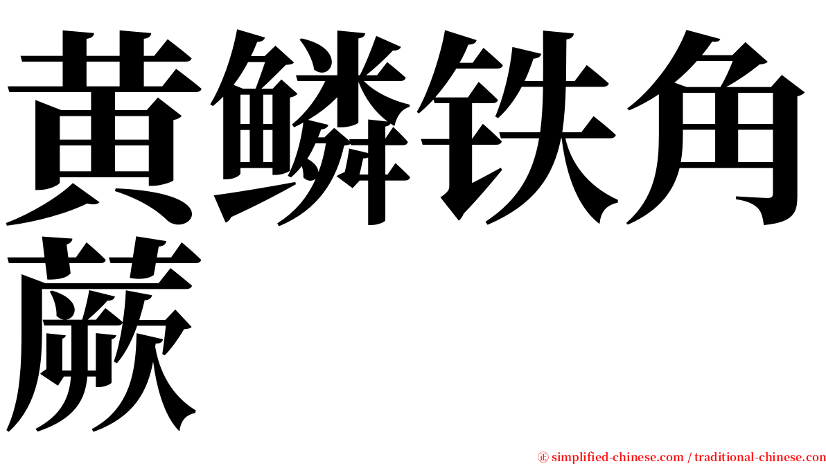 黄鳞铁角蕨 serif font