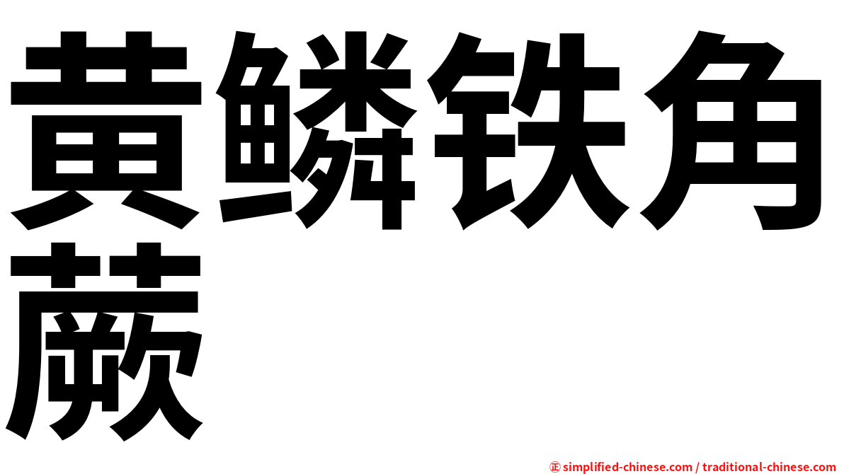 黄鳞铁角蕨