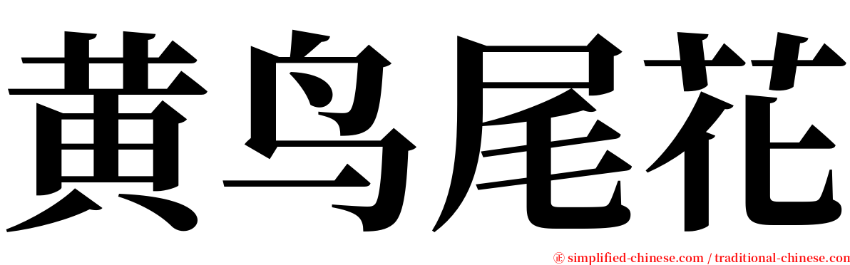 黄鸟尾花 serif font