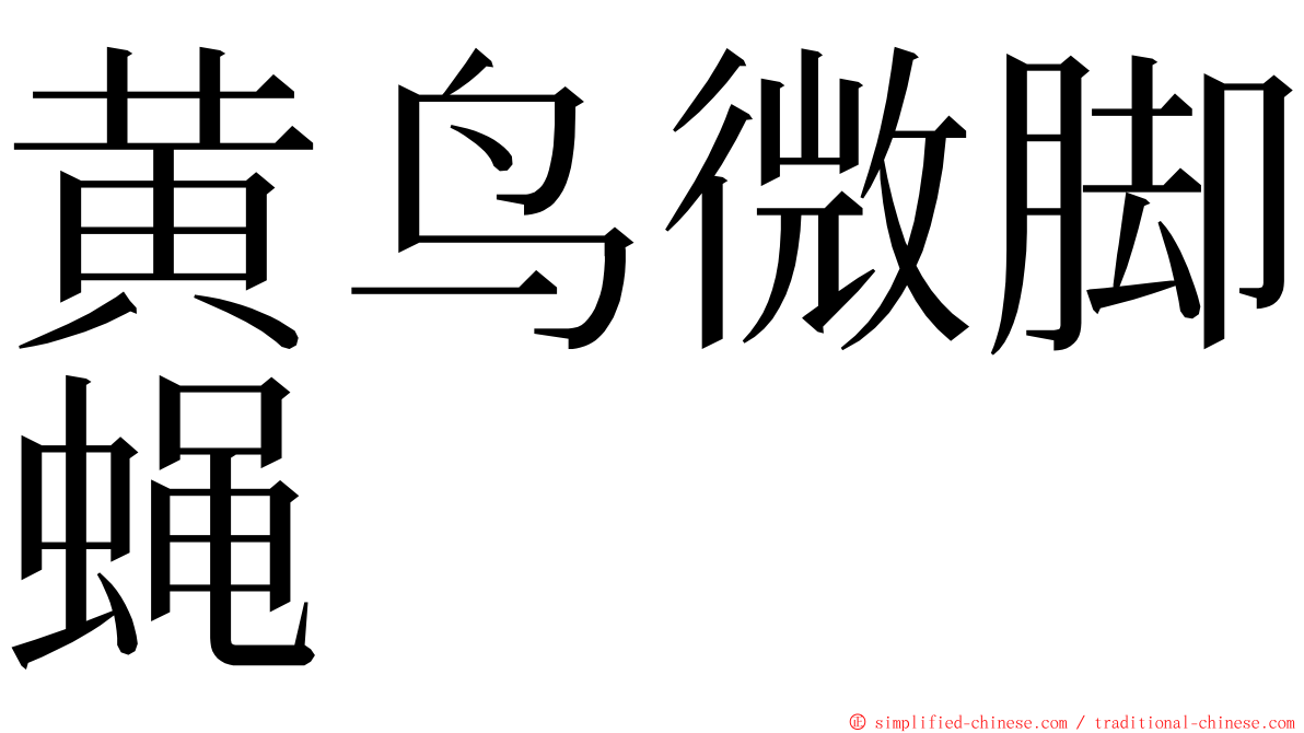 黄鸟微脚蝇 ming font