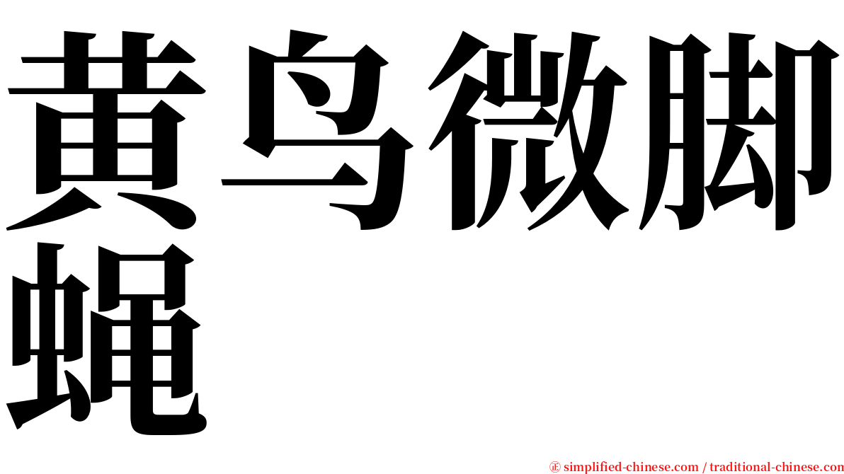 黄鸟微脚蝇 serif font