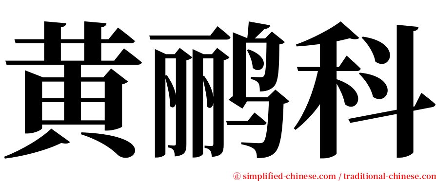 黄鹂科 serif font