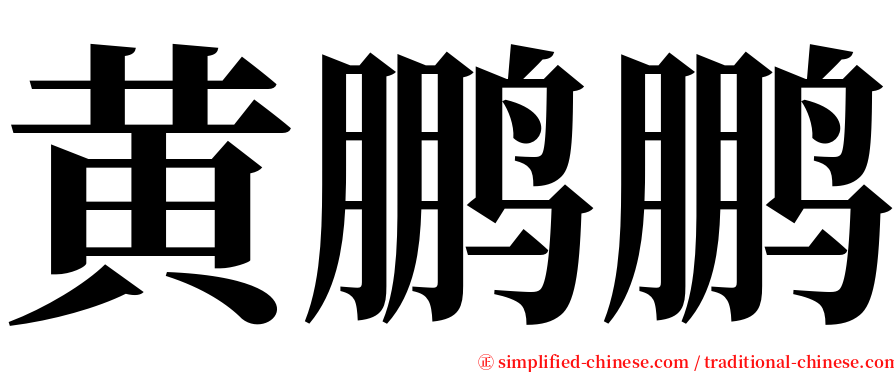 黄鹏鹏 serif font