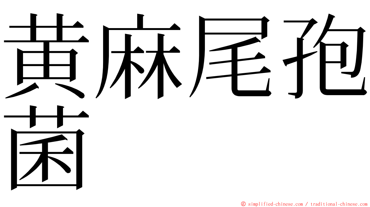 黄麻尾孢菌 ming font