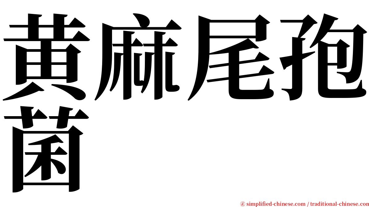黄麻尾孢菌 serif font
