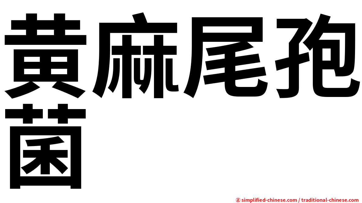 黄麻尾孢菌
