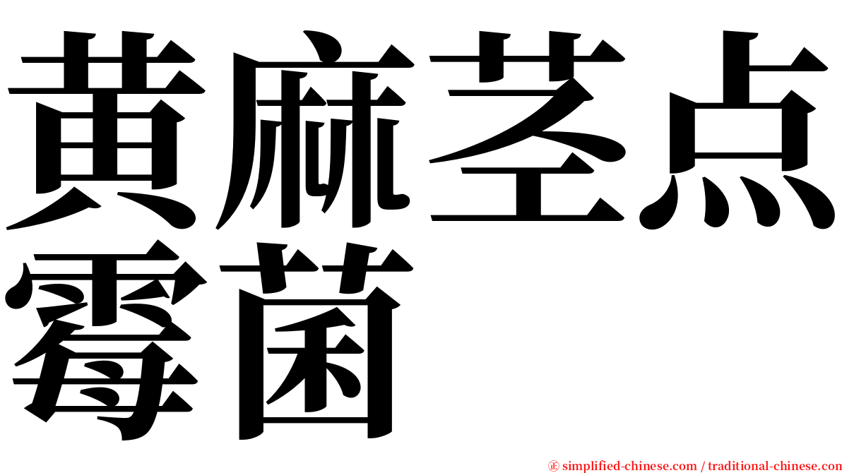 黄麻茎点霉菌 serif font