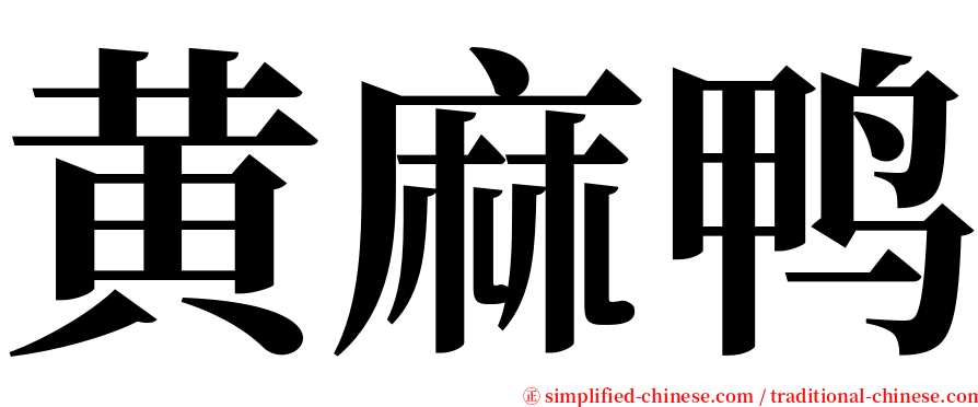 黄麻鸭 serif font