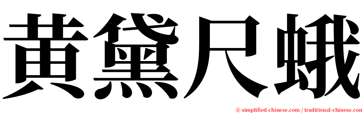 黄黛尺蛾 serif font