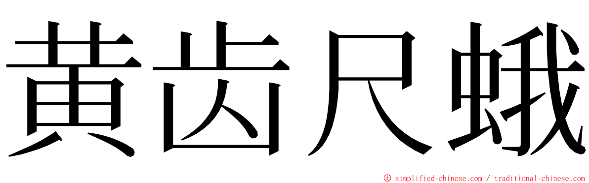 黄齿尺蛾 ming font