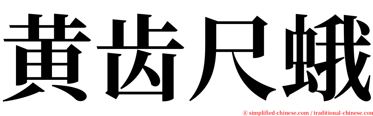 黄齿尺蛾 serif font