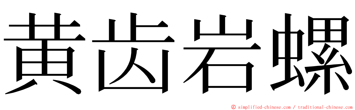 黄齿岩螺 ming font