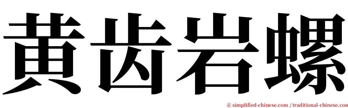 黄齿岩螺 serif font