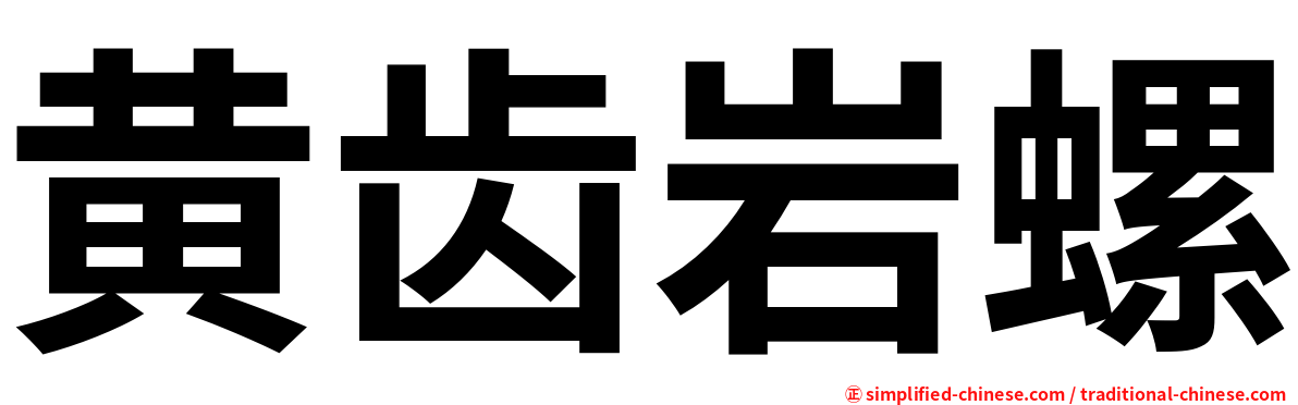 黄齿岩螺