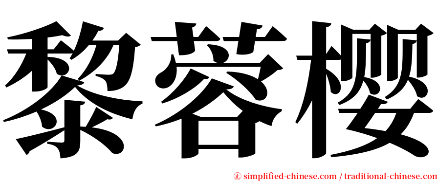 黎蓉樱 serif font