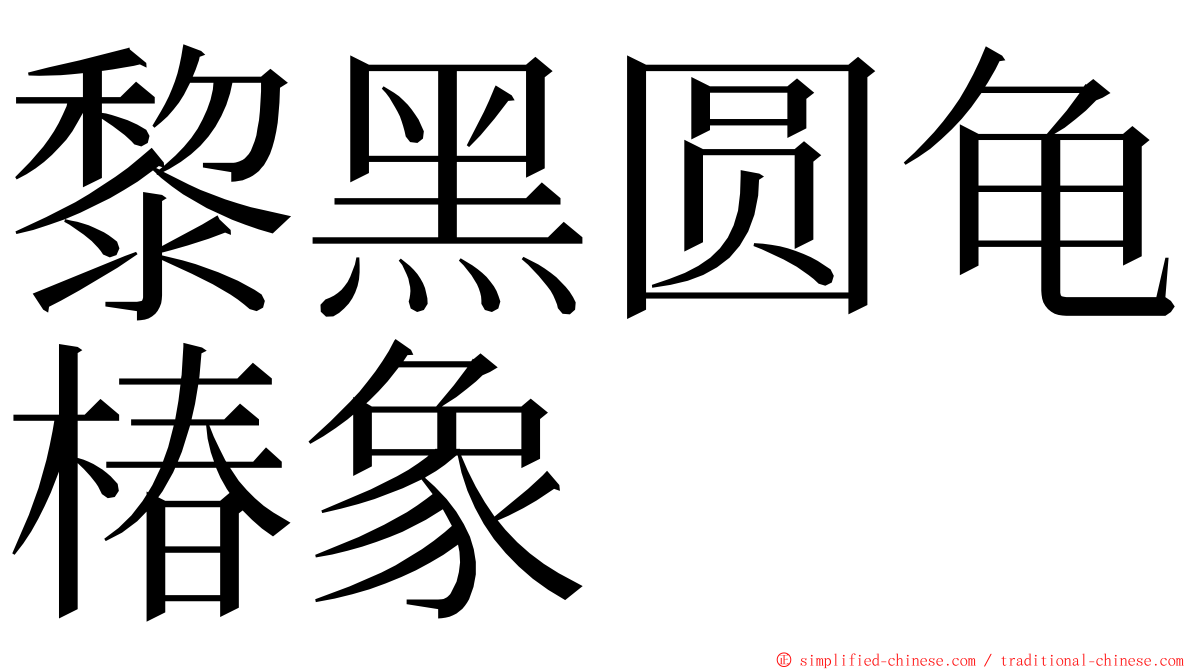 黎黑圆龟椿象 ming font