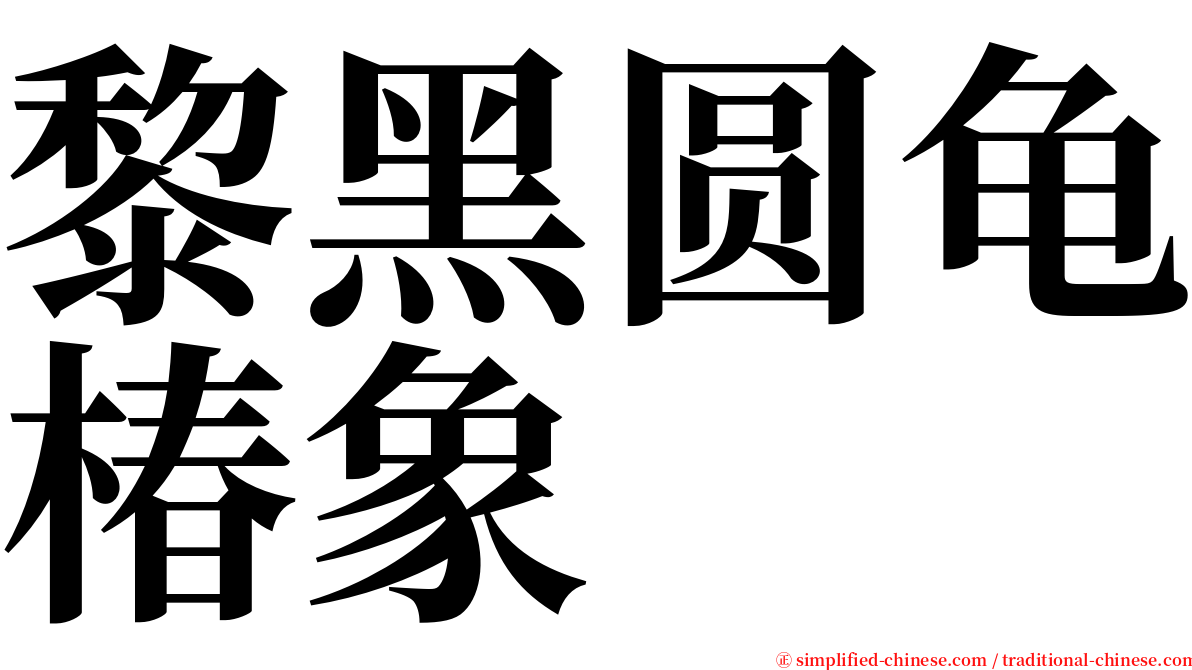 黎黑圆龟椿象 serif font