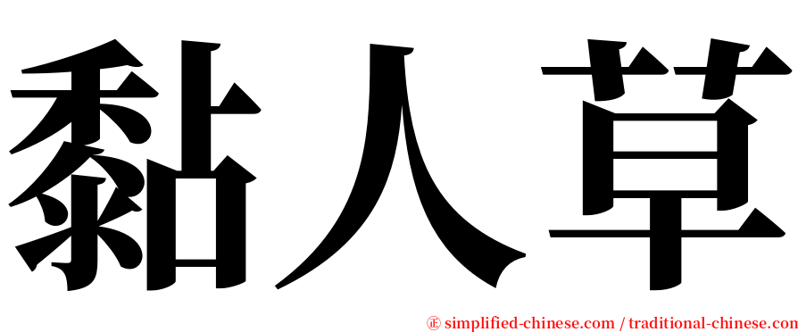 黏人草 serif font