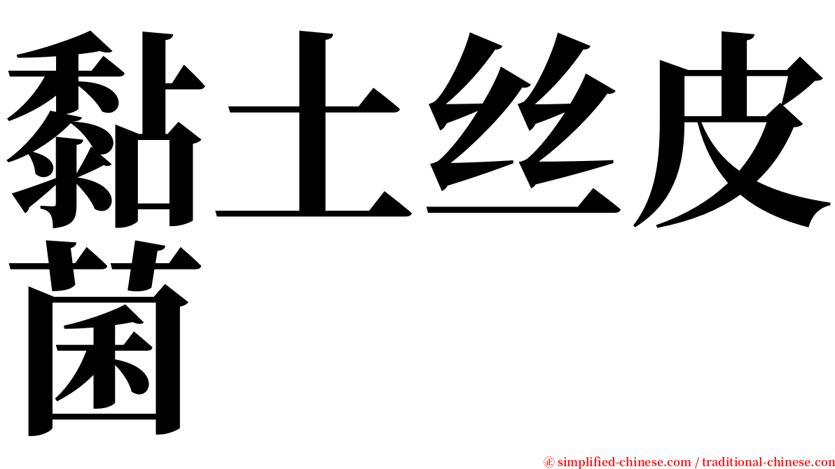 黏土丝皮菌 serif font