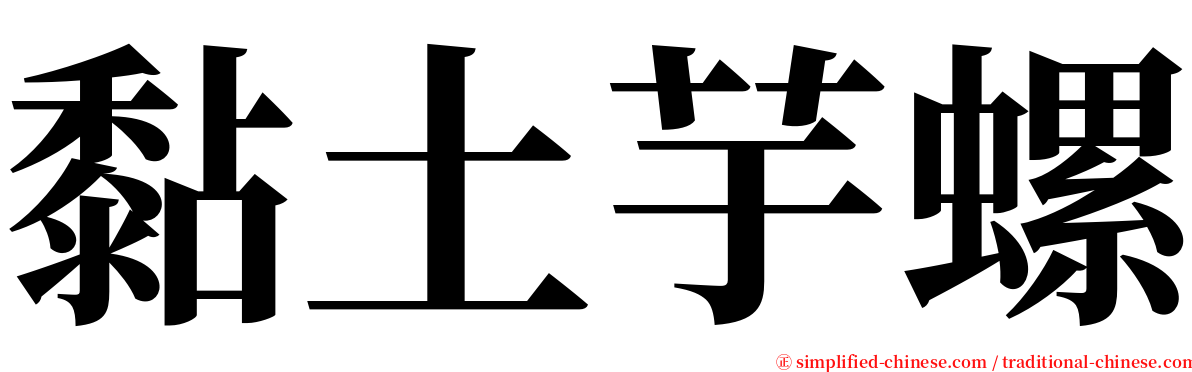 黏土芋螺 serif font