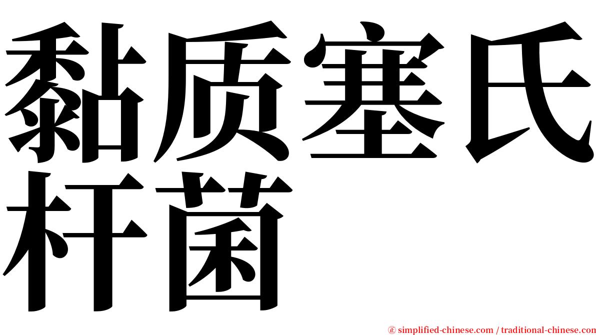 黏质塞氏杆菌 serif font