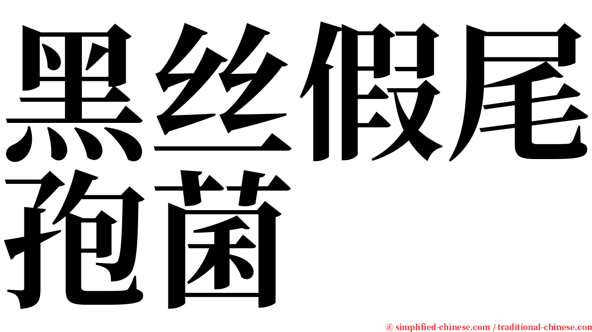 黑丝假尾孢菌 serif font