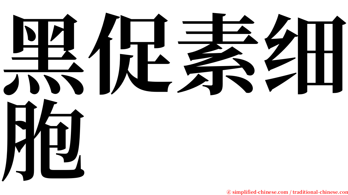 黑促素细胞 serif font