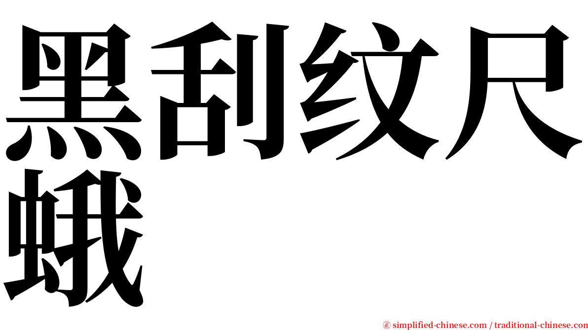 黑刮纹尺蛾 serif font