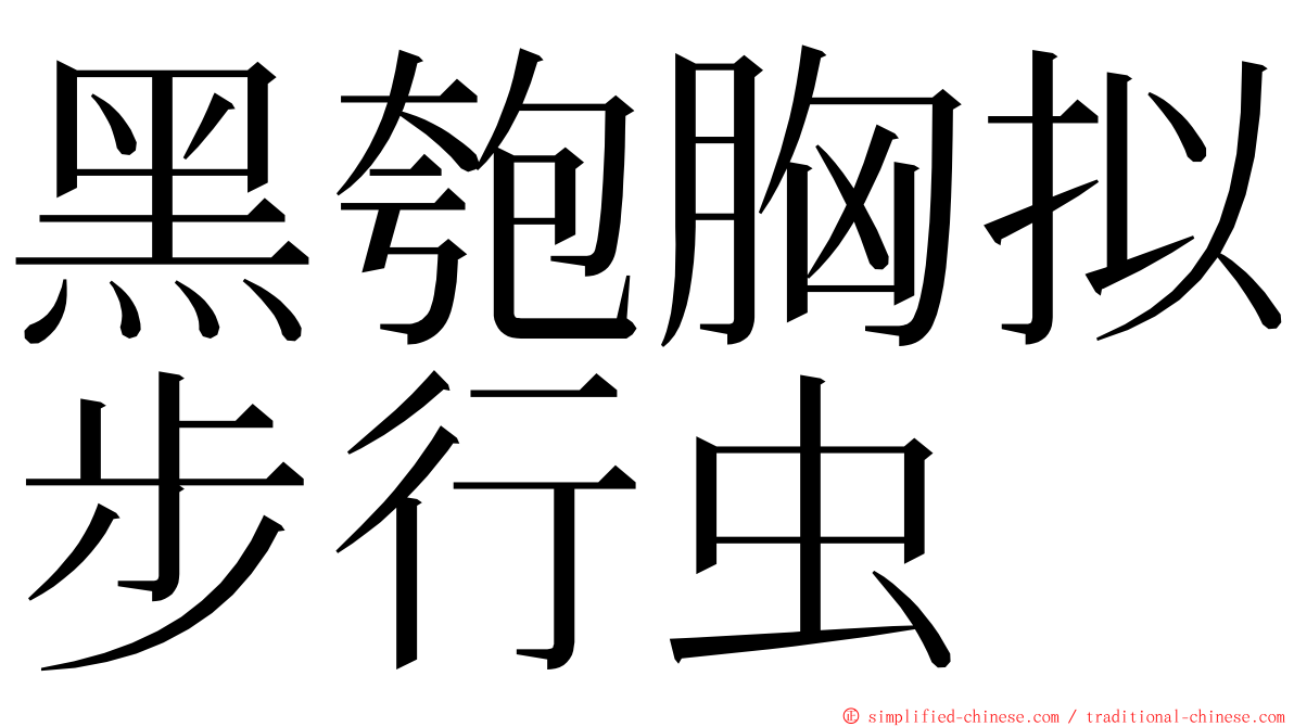 黑匏胸拟步行虫 ming font