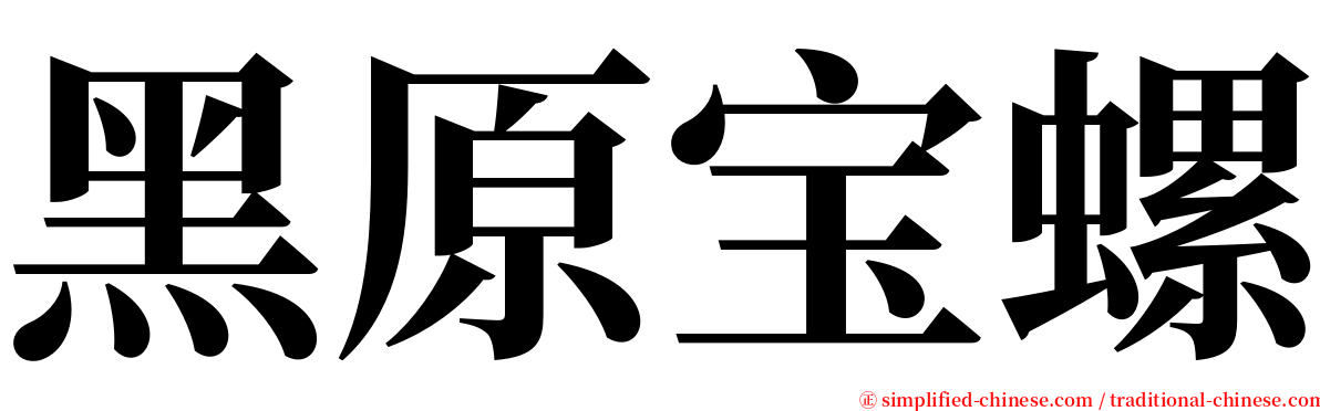 黑原宝螺 serif font