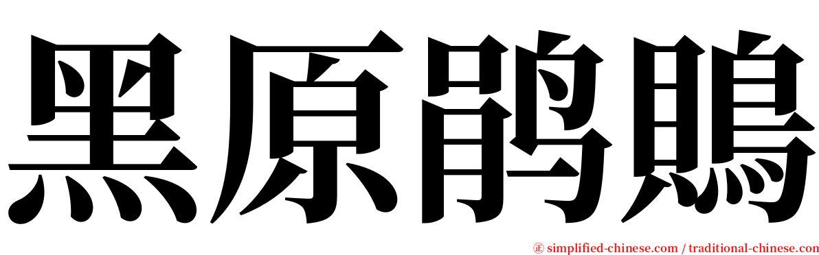 黑原鹃鵙 serif font