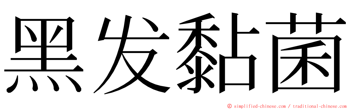 黑发黏菌 ming font