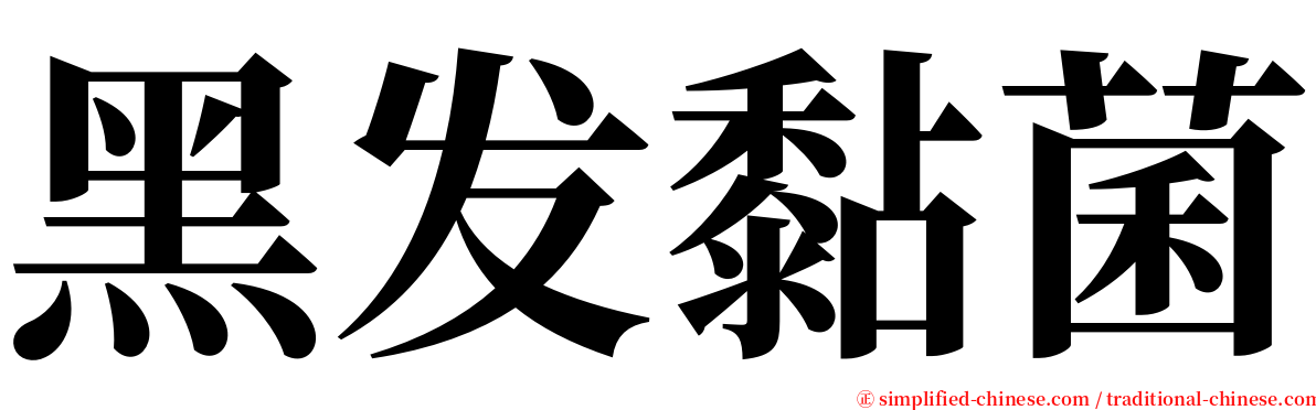 黑发黏菌 serif font