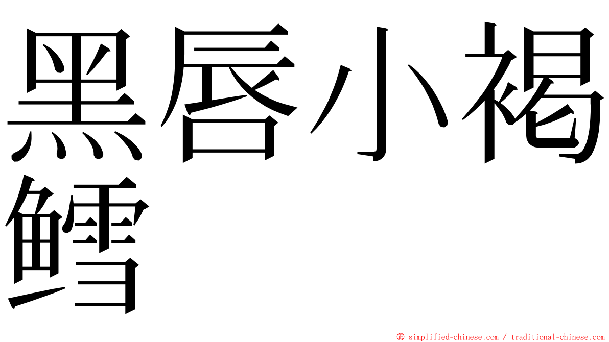 黑唇小褐鳕 ming font