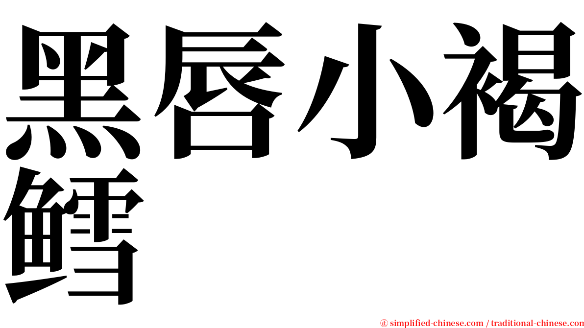 黑唇小褐鳕 serif font