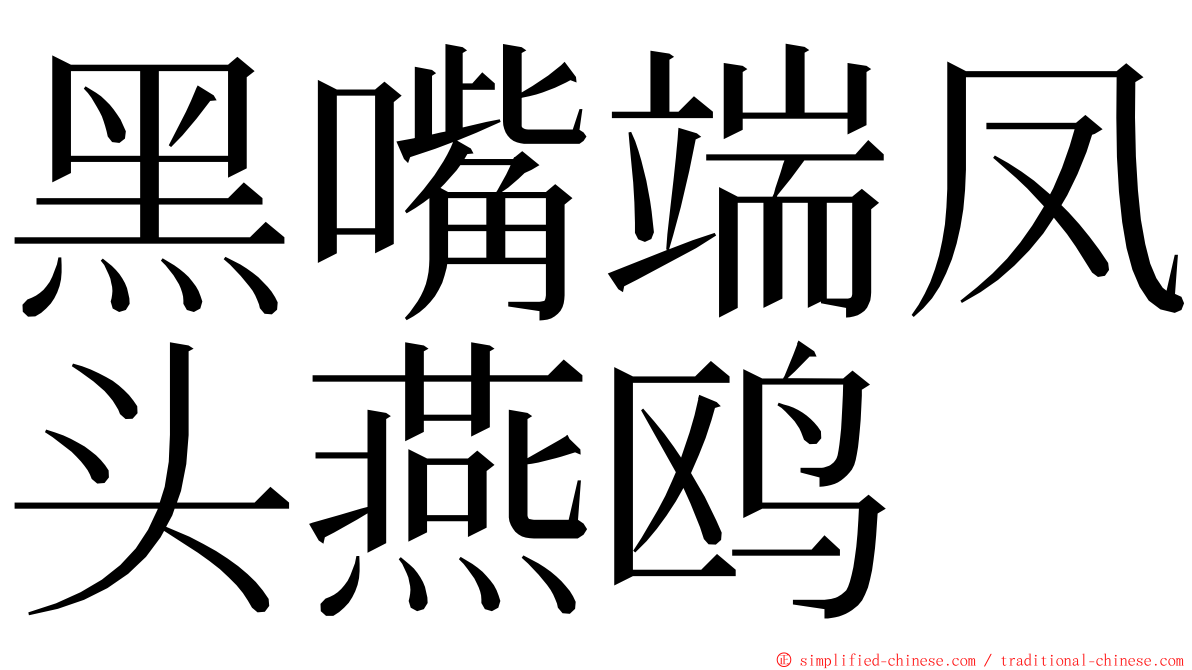 黑嘴端凤头燕鸥 ming font