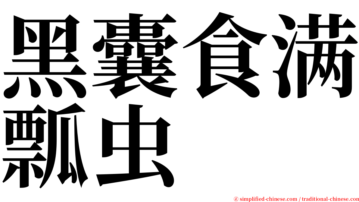 黑囊食满瓢虫 serif font