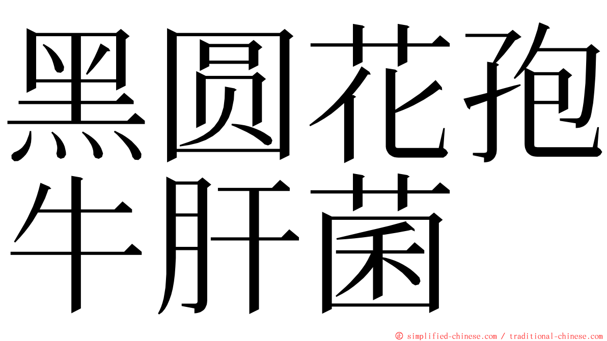 黑圆花孢牛肝菌 ming font