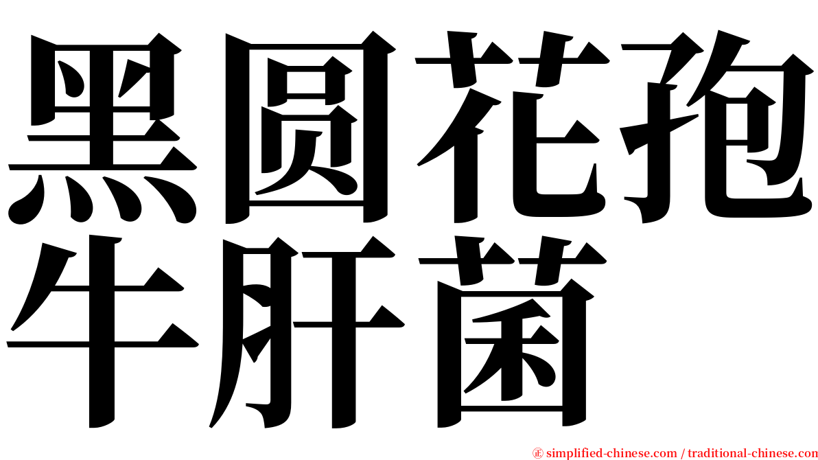 黑圆花孢牛肝菌 serif font