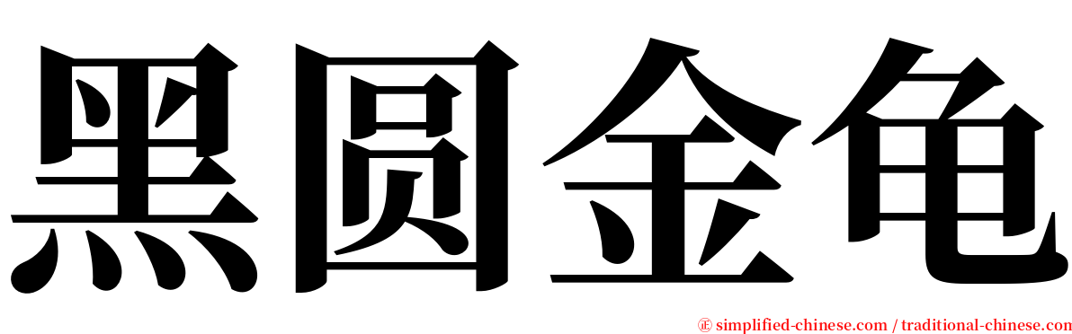 黑圆金龟 serif font