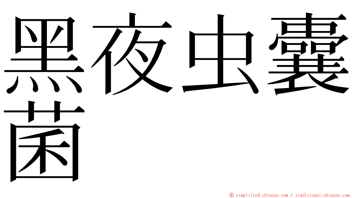 黑夜虫囊菌 ming font
