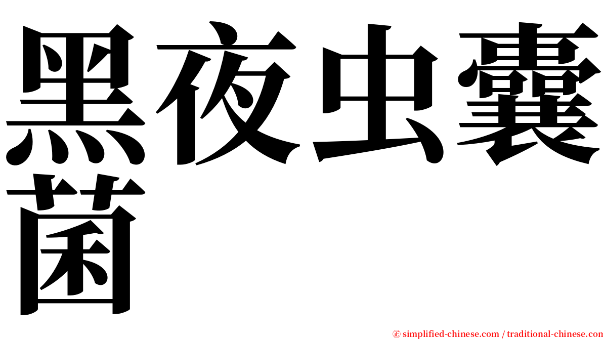 黑夜虫囊菌 serif font