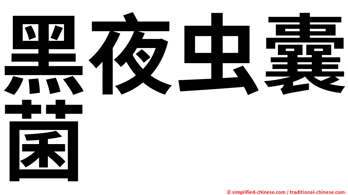 黑夜虫囊菌