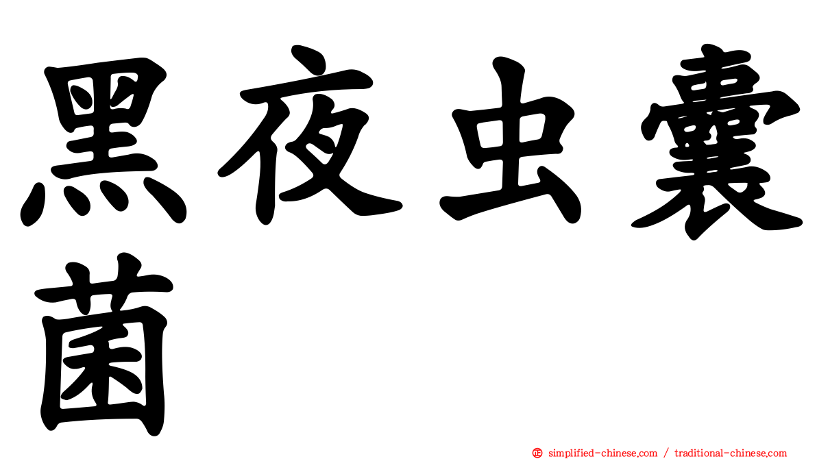 黑夜虫囊菌