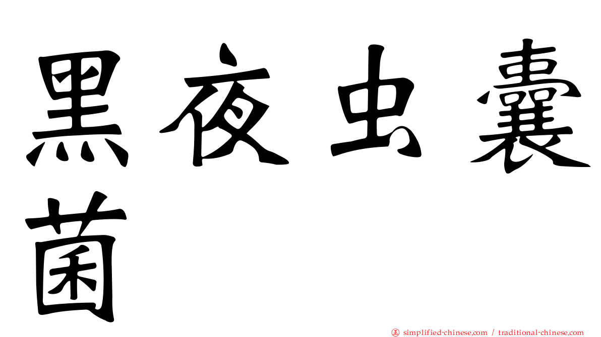 黑夜虫囊菌