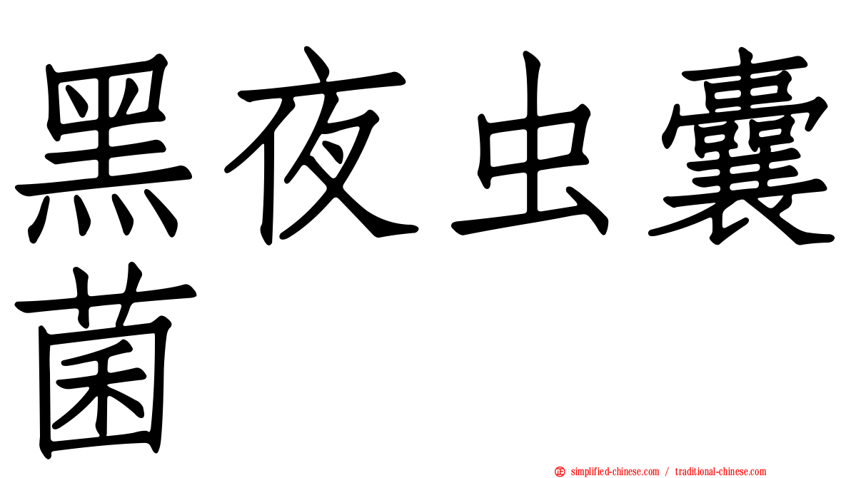 黑夜虫囊菌