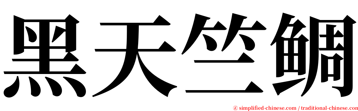 黑天竺鲷 serif font