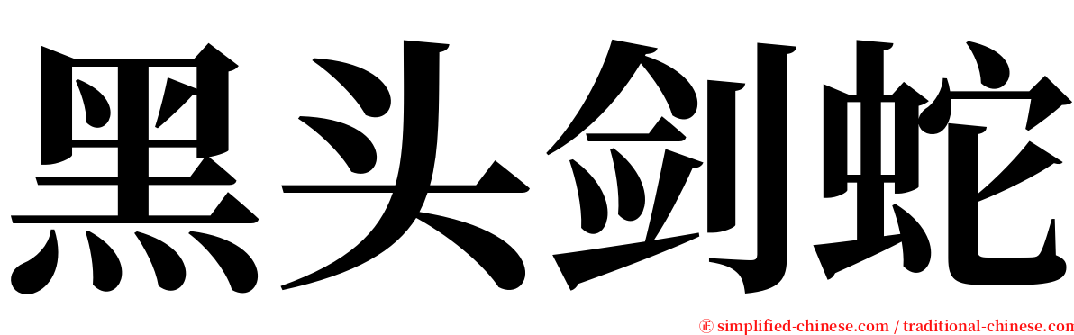 黑头剑蛇 serif font