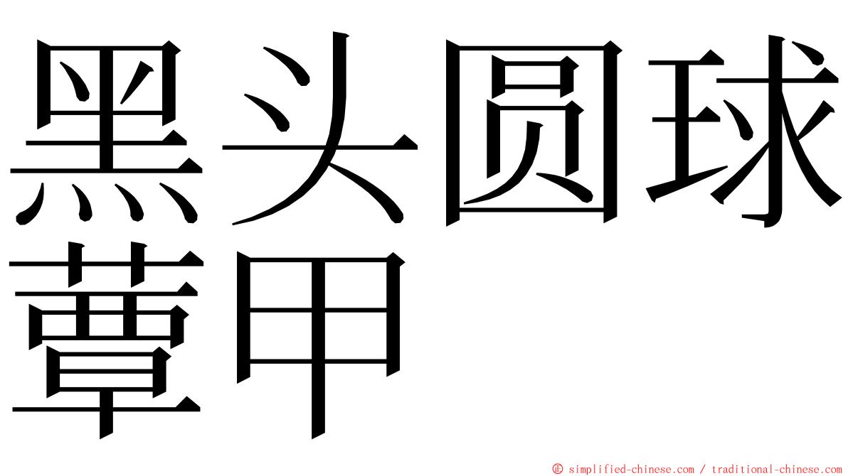 黑头圆球蕈甲 ming font