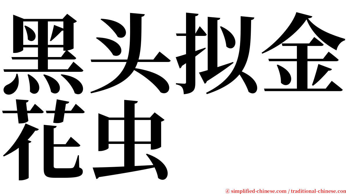 黑头拟金花虫 serif font